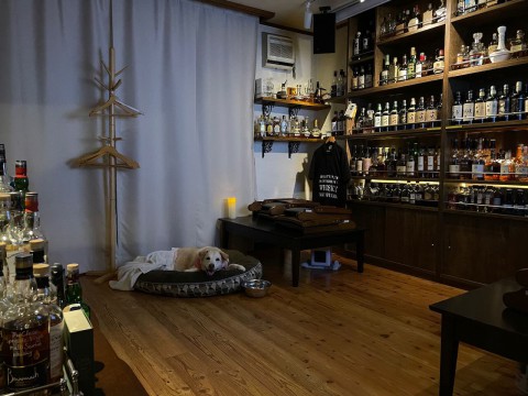 本日もありがたい事にご予約を頂きましたので営業いたします。