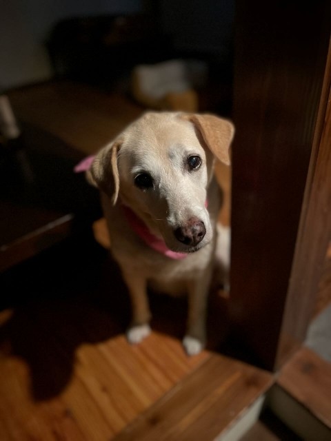 誠にありがとうございました。