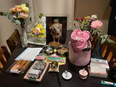 御供花、御供物、電報頂きまして誠にありがとうございます。