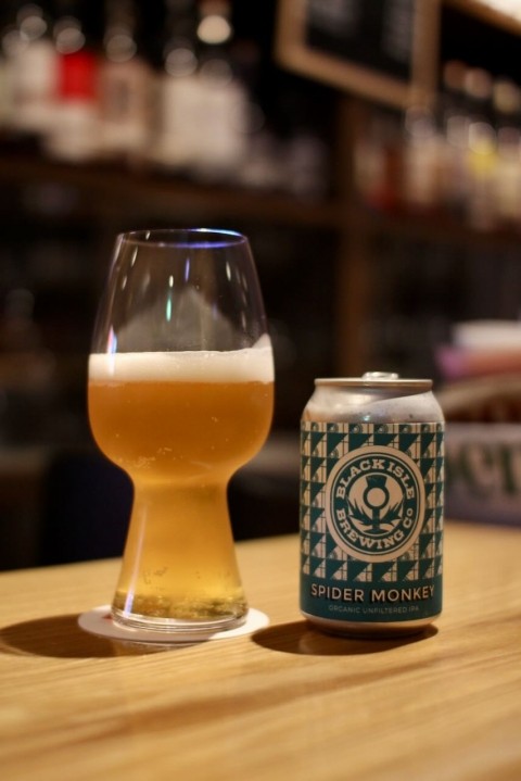 ブラックアイル スパイダーモンキー久々に入荷しました。