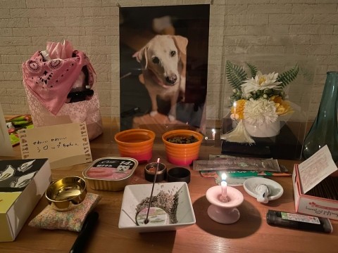 今日で四十九日です。