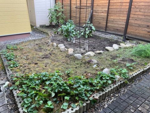 今日の帯広の最高気温は23.9℃。