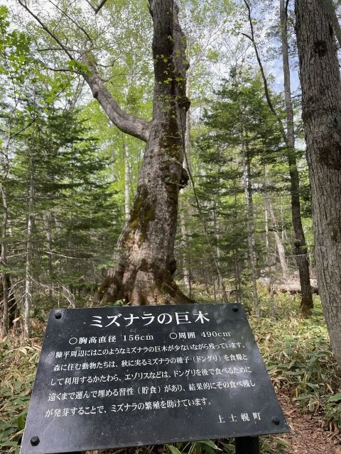 お知らせです。