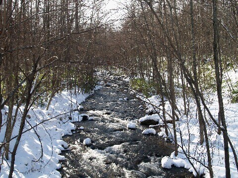 皆さん寒いですね！遊び小屋コニファーにも雪