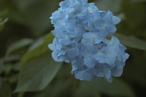 いよいよやって来た!!夏キャン♪♪ その①