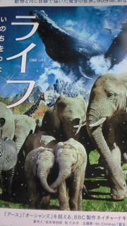 ライフ～いのちをつなぐ物語～