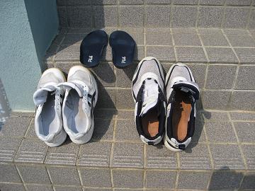 今年もやって来た。