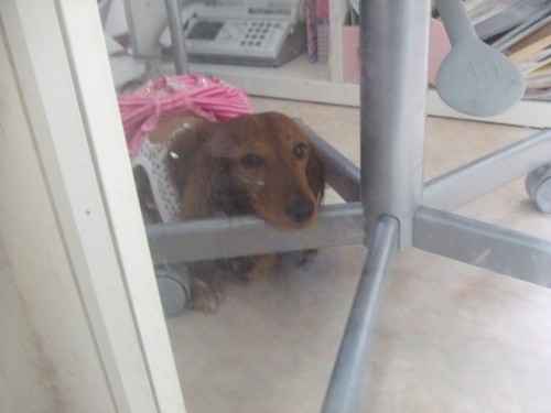 続き・・・（旦那）