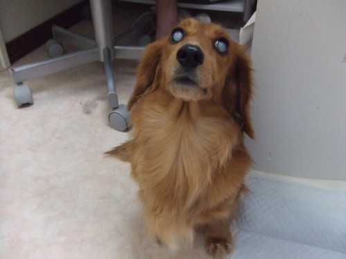 今日の朝!? (旦那)