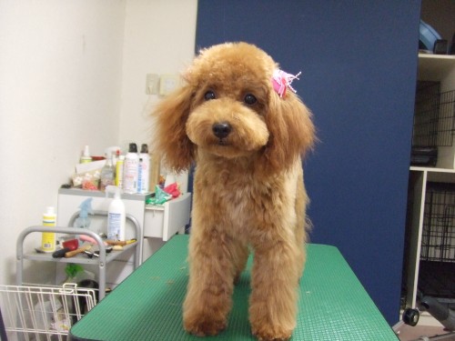 昨日は定休日だったんですが・・・ (旦那)