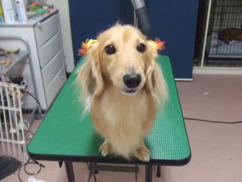 またしても。。。 (旦那)