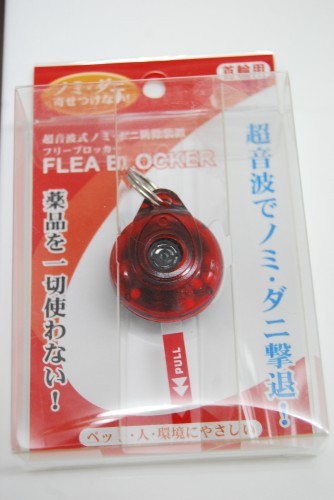 お散歩のお供にどうでしょう? (旦那)