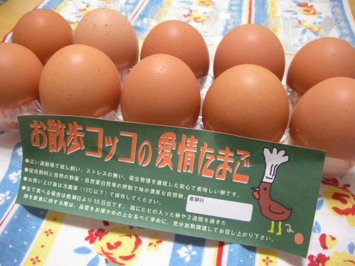 お散歩コッコの愛情たまご！放し飼いの有精卵！