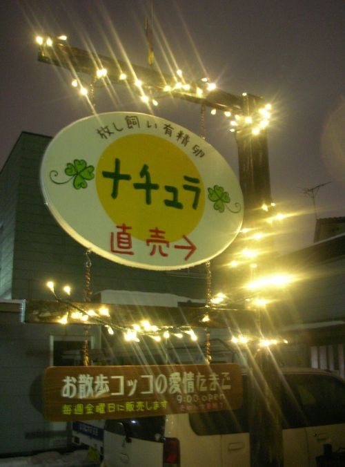 LEDで冬を演出しませんか?