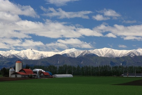 春の写真4　ＧＷは大忙し