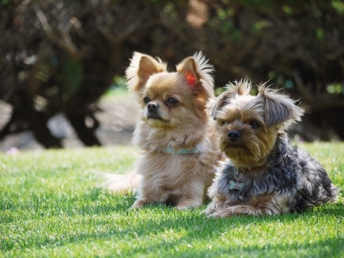 はじめまして！カズとヒデです