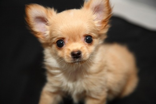 ヒデ君の誕生日