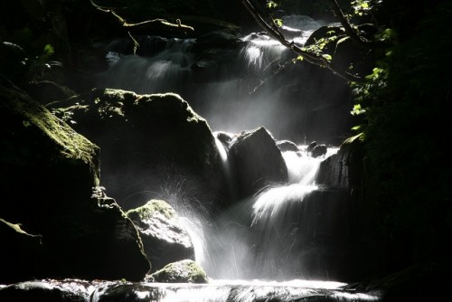 残暑お見舞い申し上げます