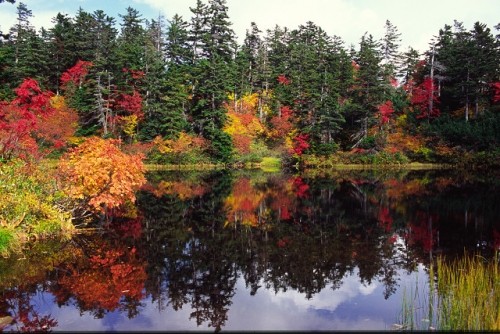 日本一早い「紅葉」　高原温泉　銀泉台