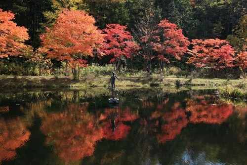 紅葉の福原山荘