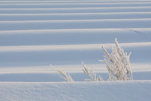 更別　けあらし上がらず？