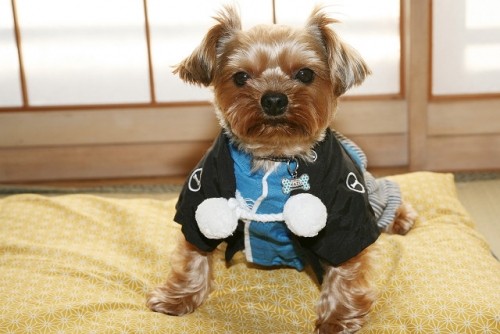 朝から一杯やってますぅ～