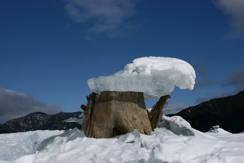 糠平湖冬名物　氷の芸術「キノコ氷」