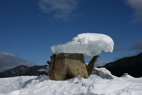 糠平湖冬名物　氷の芸術「キノコ氷」