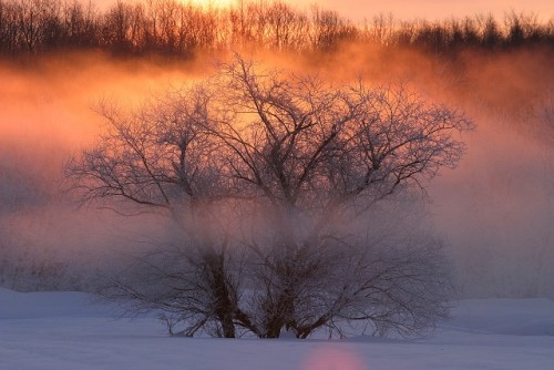 おかげさまで「1周年」！