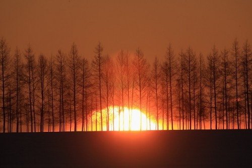 ぶら～り－25℃の旅　以平（いたいら）町