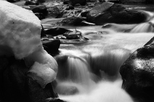 写真撮るのも命懸け？糠平の春