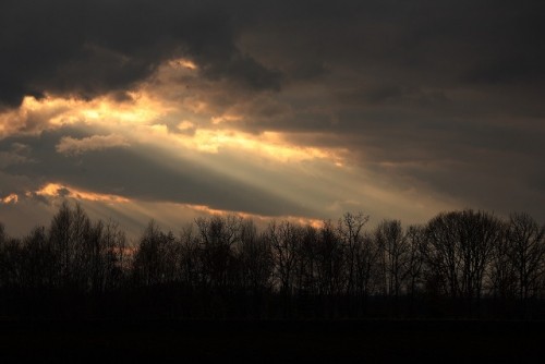 気がつけば　100ブログ！