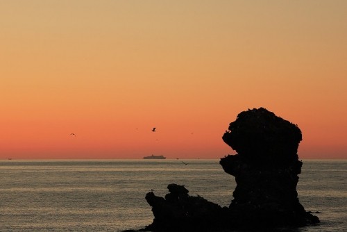 奥尻から積丹の旅　オススメです！