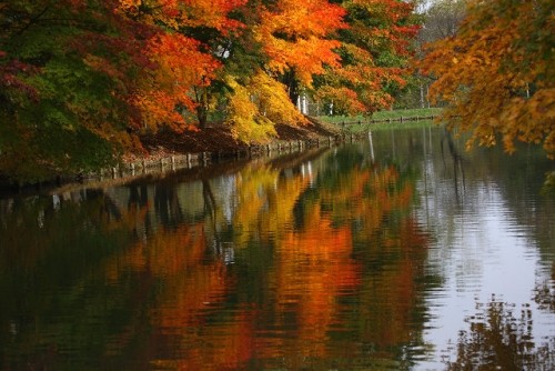 　とかち清水公園の紅葉　久しぶりの撮影