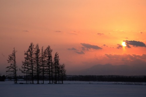 日の出から夕焼けまで・・・