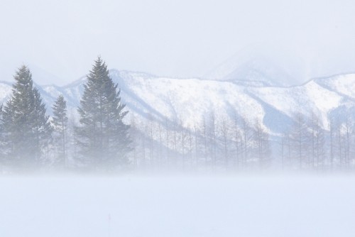 吹雪の日曜日・・・