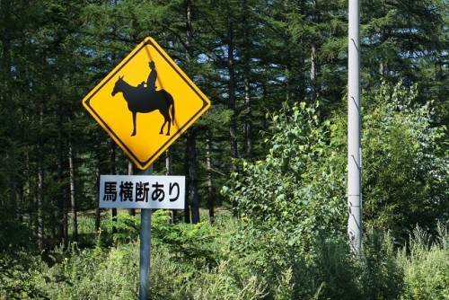 フォトコン　目指せ30万円！鹿追町らしい標識・・・