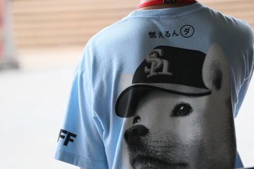 がんばれファイターズ　敵地ヤフードーム！