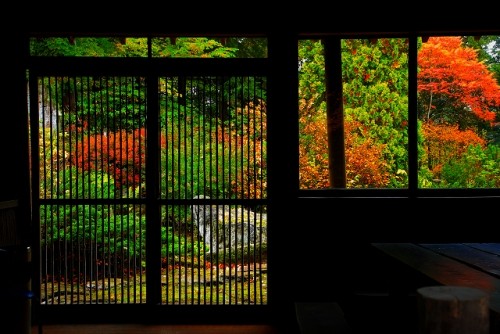 雨上がりの真鍋庭園さん・・・おびひろ