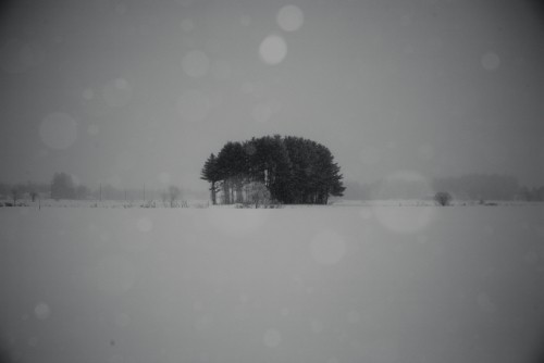おびひろ川西町・・・雪の朝