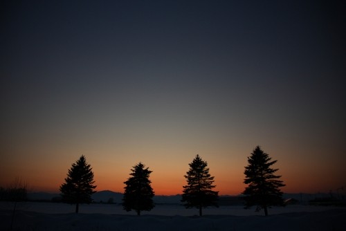 おびひろ以平（イタイラ）町・・・夕焼け