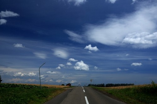 夏の雲・・・