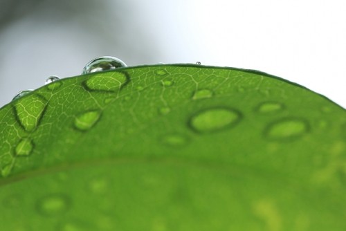 雨上がりのでんでん虫くん
