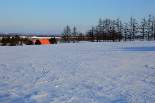 赤い屋根のある風景