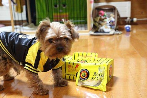 がんばれファイターズ 散々な遠征