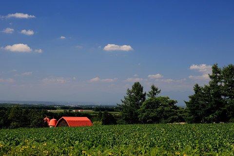 赤い屋根のある風景