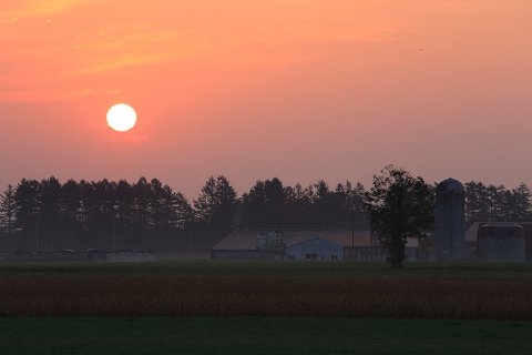 むらの風景・・・