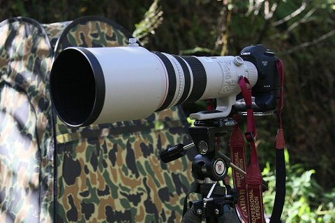 500mm