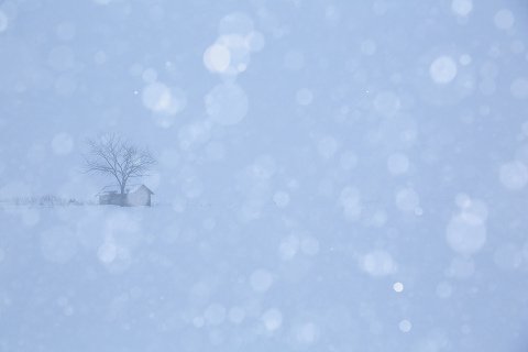 大雪だというのに・・・