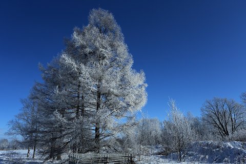 樹氷と青空